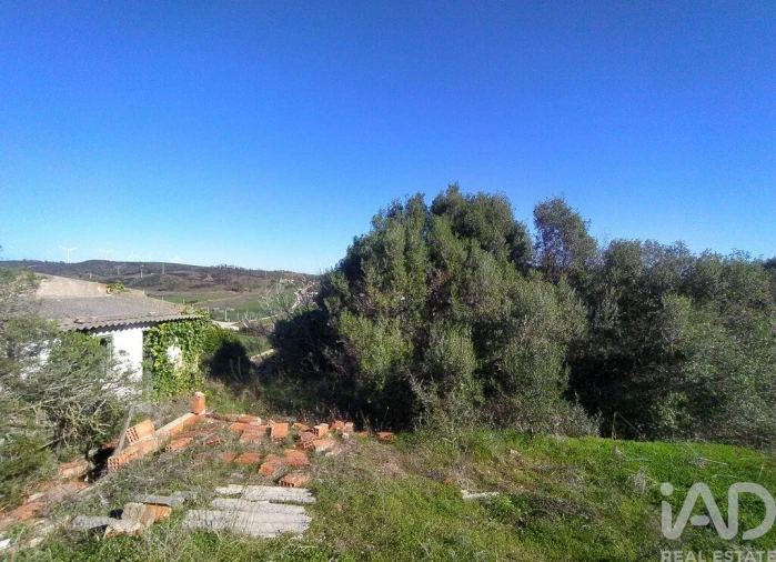 Terreno para Venda em Barão de São Miguel Foto 26