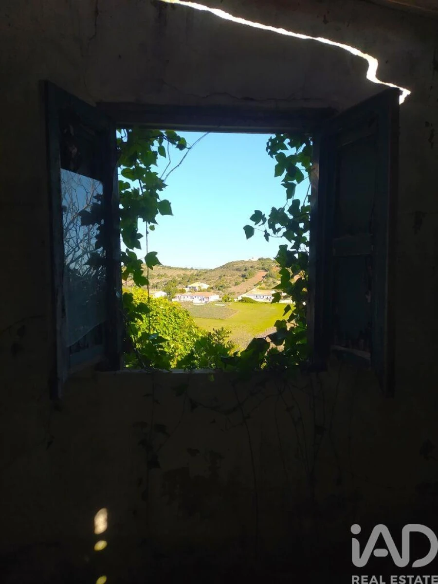 Terreno para Venda em Barão de São Miguel Foto 20