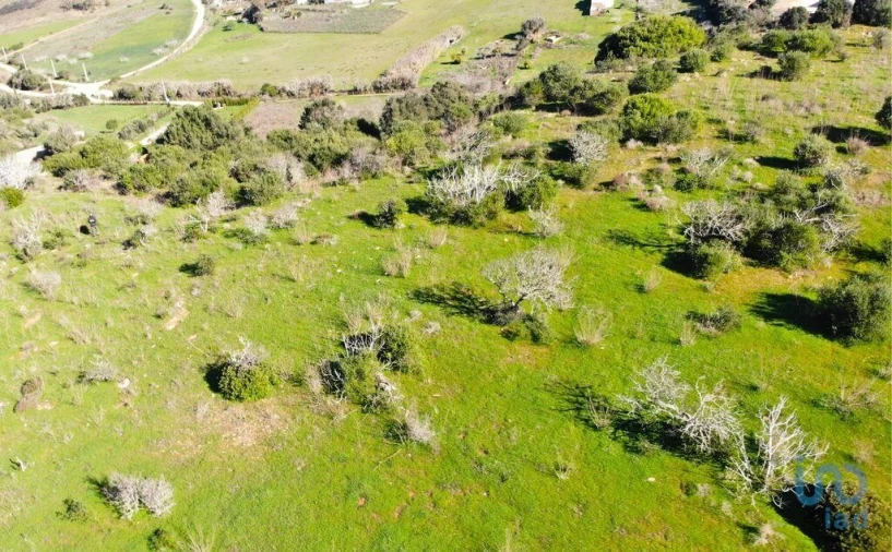 Terreno para Venda em Barão de São Miguel Foto 8