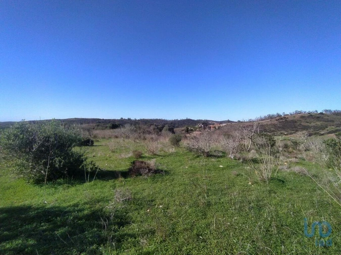 Terreno para Venda em Barão de São Miguel Foto 13