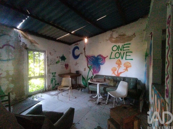 Terreno para Venda em Barão de São Miguel Foto 21