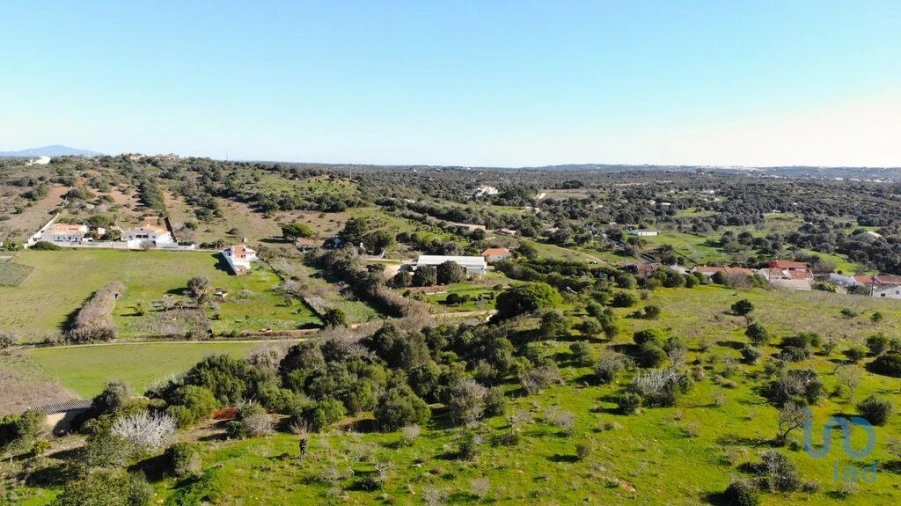 Terreno para Venda em Barão de São Miguel Foto 5