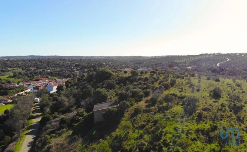 Terreno para Venda em Barão de São Miguel Foto 10
