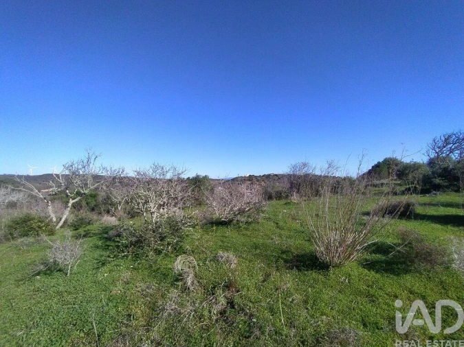 Terreno para Venda em Barão de São Miguel Foto 15