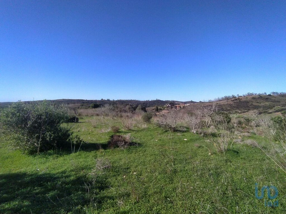 Terreno para Venda em Barão de São Miguel Foto 13