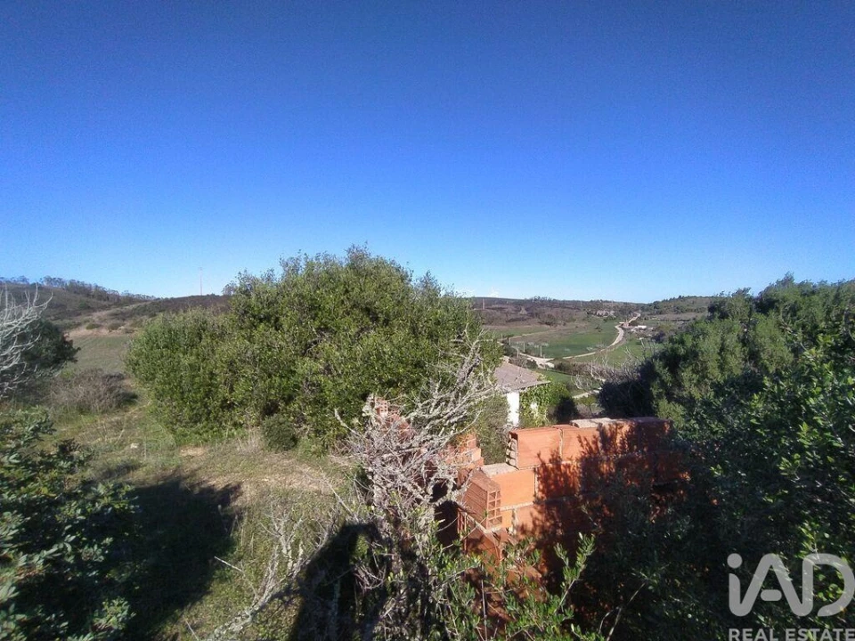 Terreno para Venda em Barão de São Miguel Foto 18