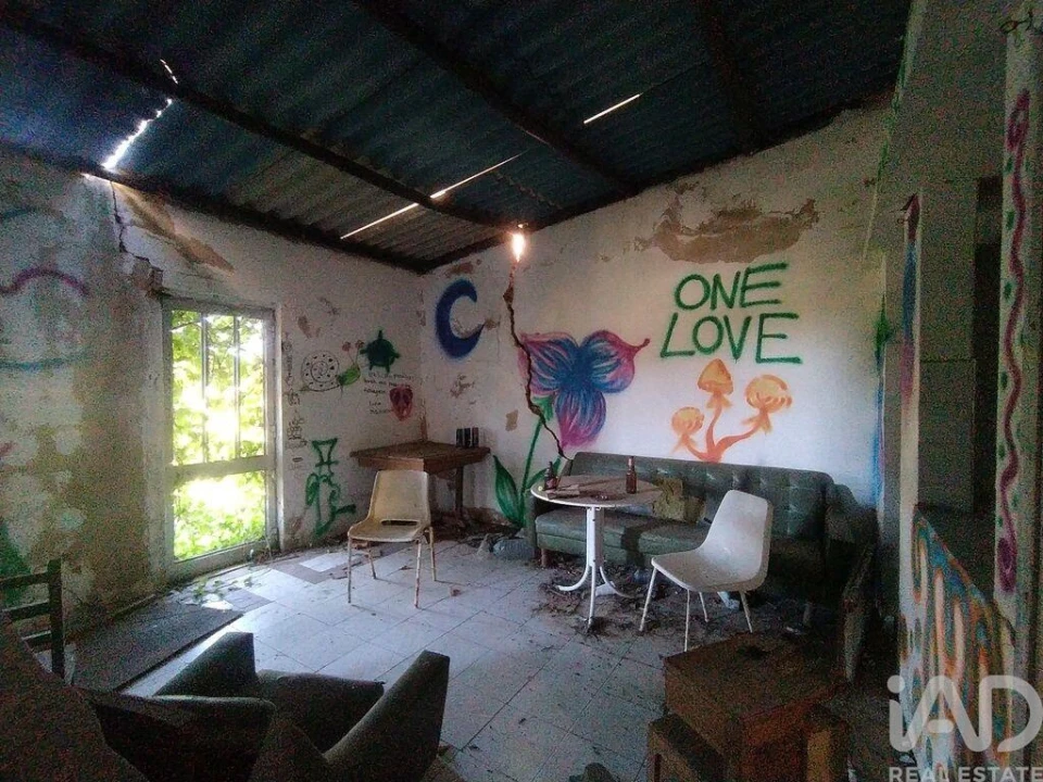 Terreno para Venda em Barão de São Miguel Foto 21