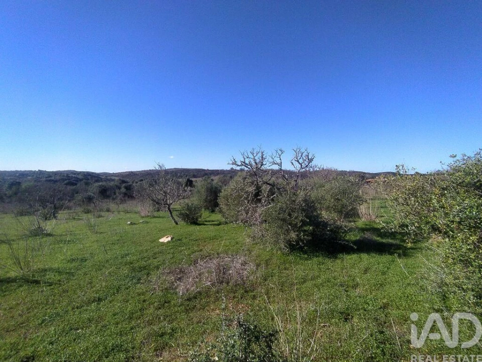 Terreno para Venda em Barão de São Miguel Foto 17