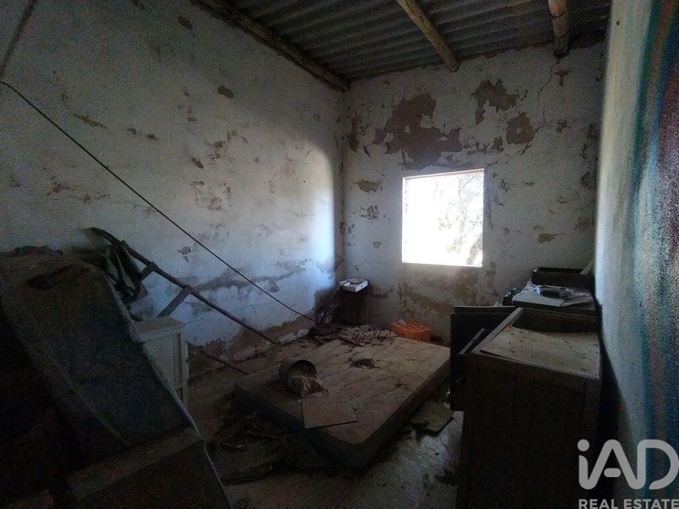 Terreno para Venda em Barão de São Miguel Foto 22