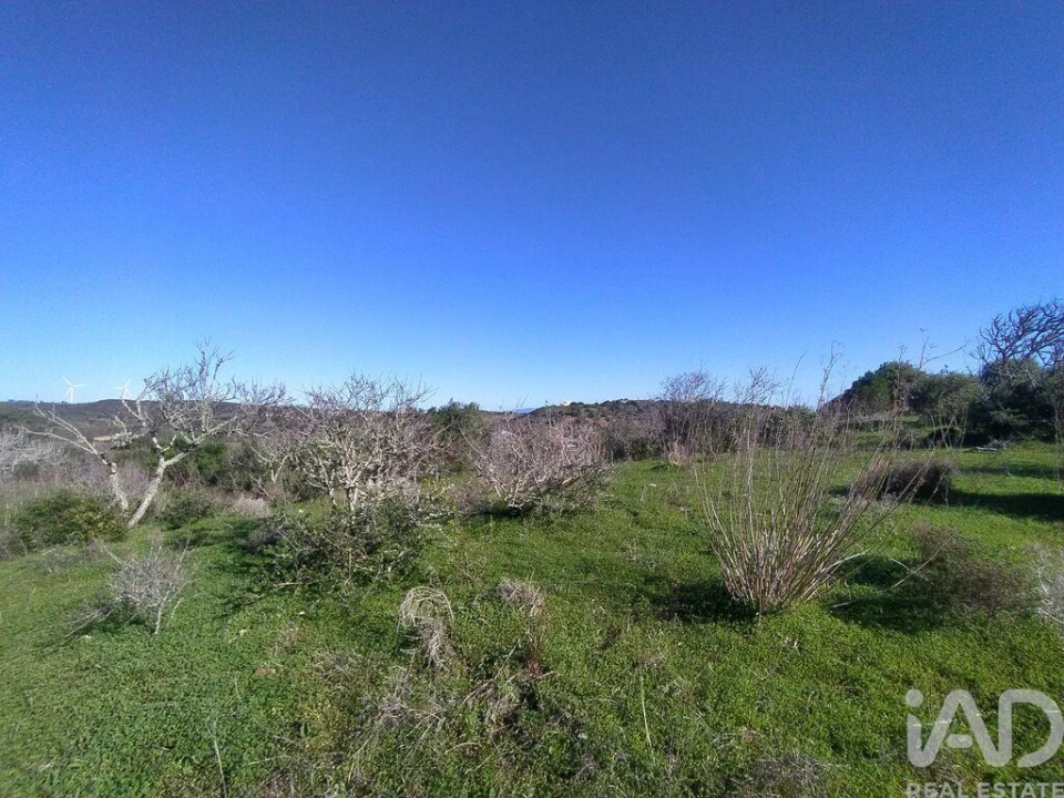 Terreno para Venda em Barão de São Miguel Foto 15