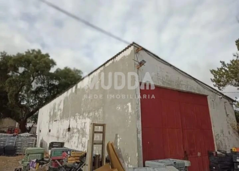 Quinta T3 para Venda em Castelo Branco Foto 5