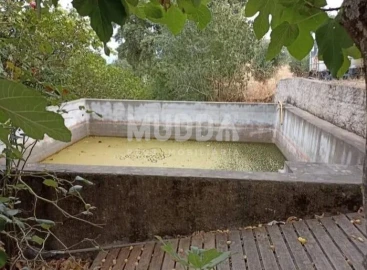 Quinta T3 para Venda em Castelo Branco