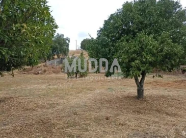 Quinta T3 para Venda em Castelo Branco