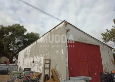 Quinta T3 para Venda em Castelo Branco