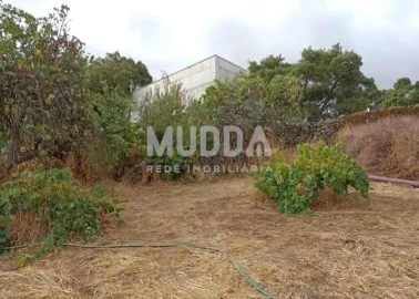 Quinta T3 para Venda em Castelo Branco