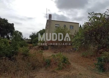 Quinta T3 para Venda em Castelo Branco