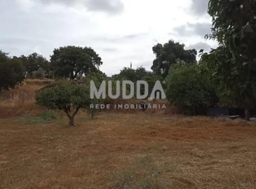 Quinta T3 para Venda em Castelo Branco