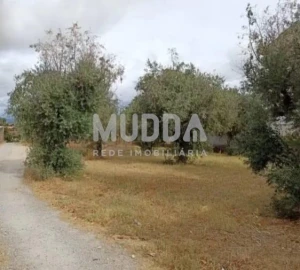Quinta T3 para Venda em Castelo Branco