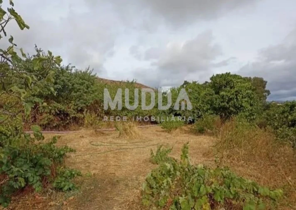 Quinta T3 para Venda em Castelo Branco Foto 1