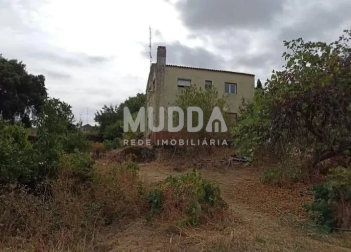Quinta T3 para Venda em Castelo Branco Foto 3