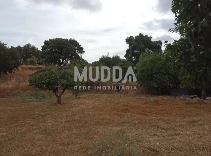 Quinta T3 para Venda em Castelo Branco Foto 8