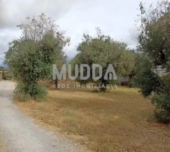 Quinta T3 para Venda em Castelo Branco Foto 7