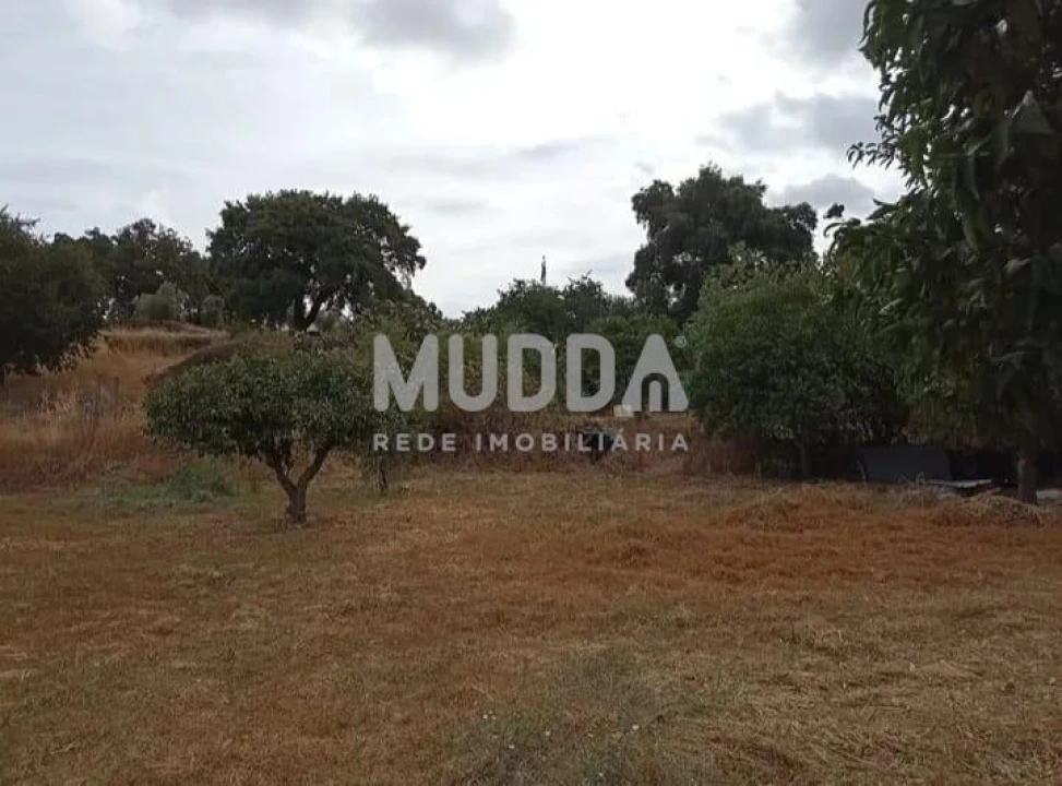Quinta T3 para Venda em Castelo Branco Foto 8