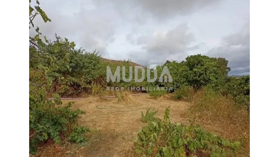 Quinta T3 para Venda em Castelo Branco