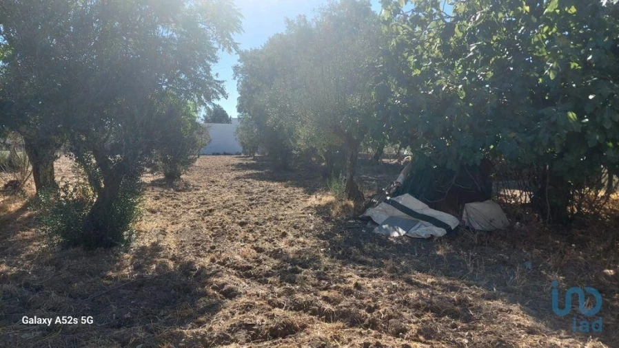 Terreno para Venda em Urra Foto 9