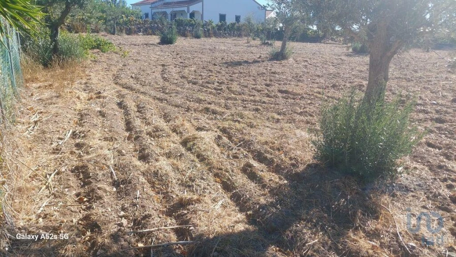 Terreno para Venda em Urra Foto 8