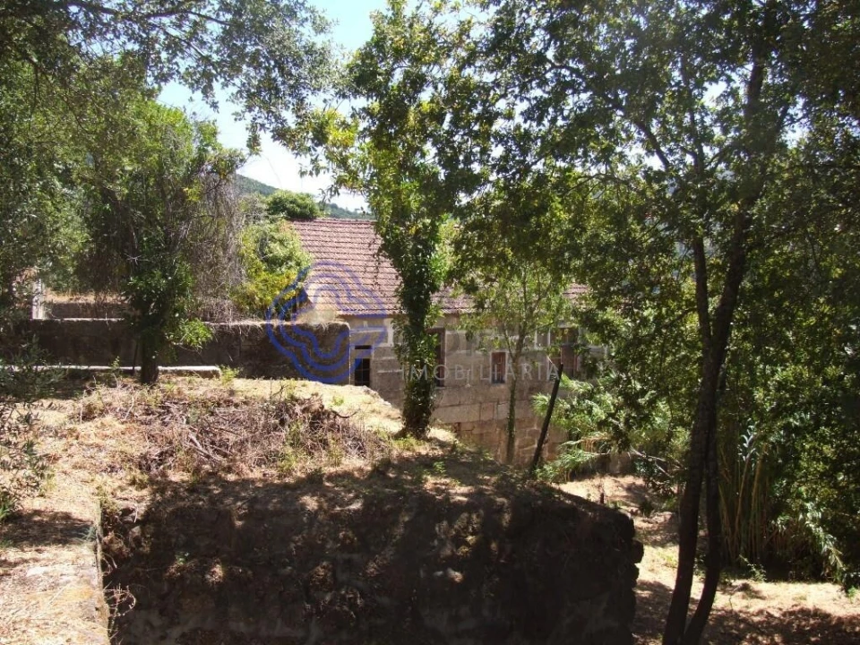 Moradia T5 para Venda em Santa Cruz do Douro e São Tomé de Covelas Foto 19