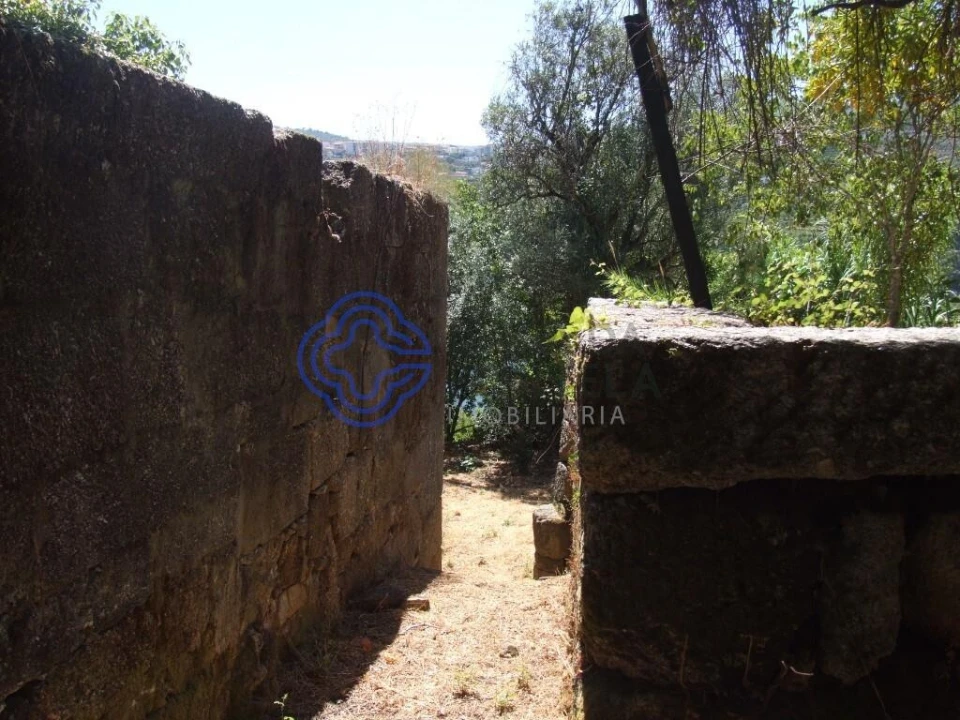 Moradia T5 para Venda em Santa Cruz do Douro e São Tomé de Covelas Foto 9