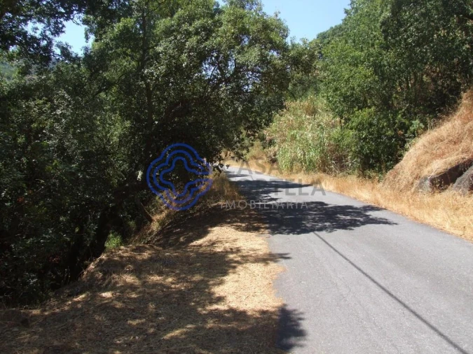 Moradia T5 para Venda em Santa Cruz do Douro e São Tomé de Covelas Foto 28