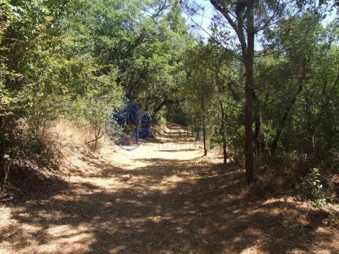 Moradia T5 para Venda em Santa Cruz do Douro e São Tomé de Covelas Foto 22