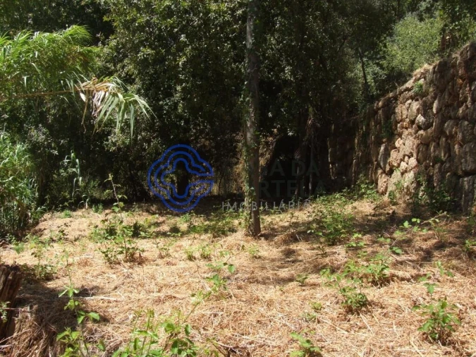 Moradia T5 para Venda em Santa Cruz do Douro e São Tomé de Covelas Foto 37