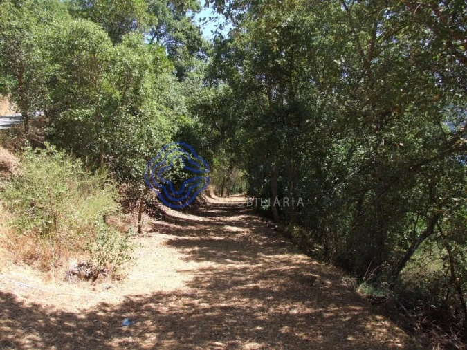 Moradia T5 para Venda em Santa Cruz do Douro e São Tomé de Covelas Foto 24