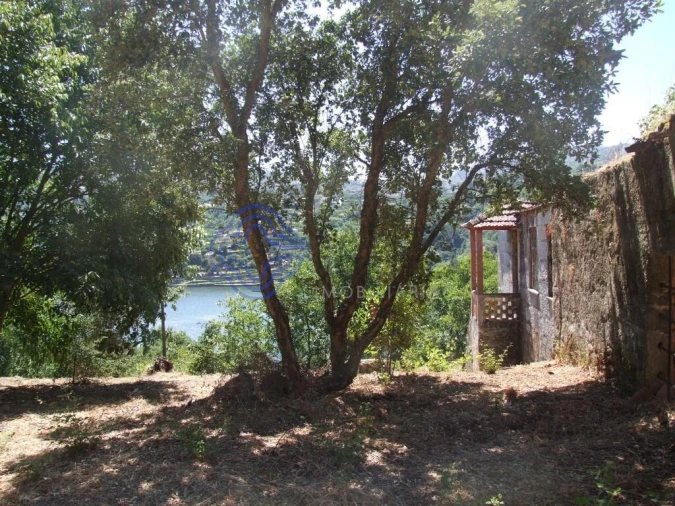 Moradia T5 para Venda em Santa Cruz do Douro e São Tomé de Covelas Foto 18