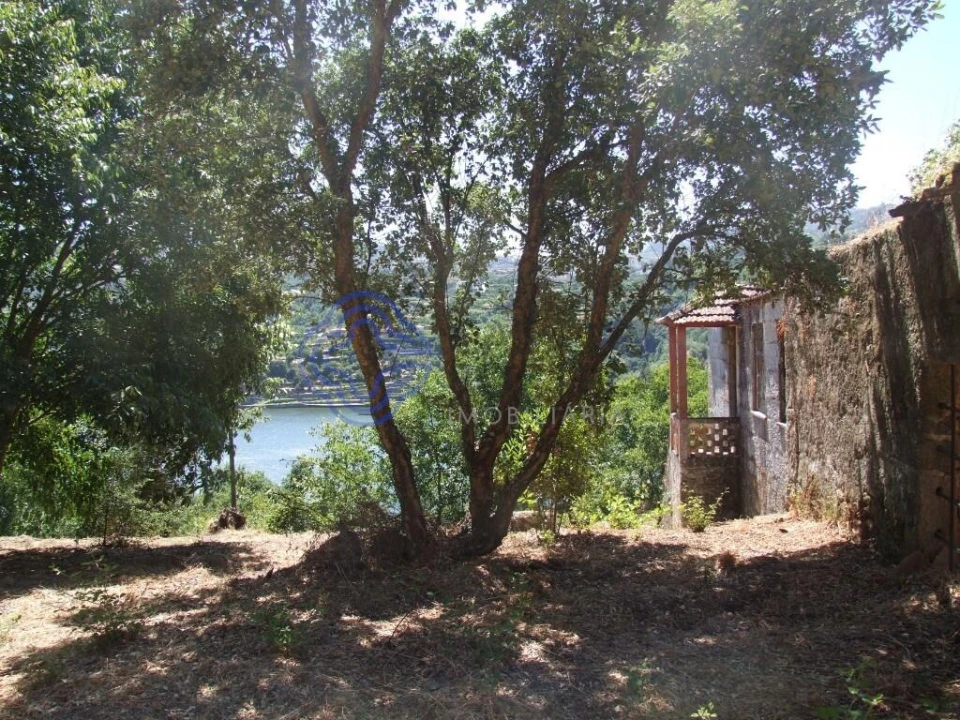 Moradia T5 para Venda em Santa Cruz do Douro e São Tomé de Covelas Foto 18