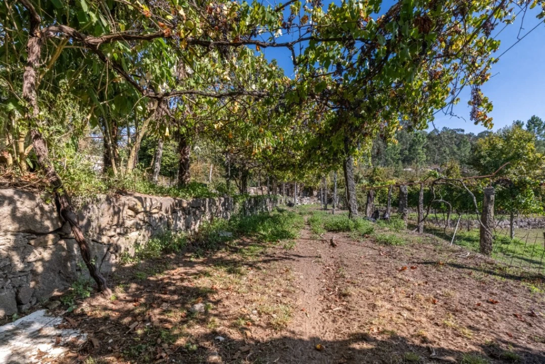 Quinta T4 para Venda em Torre e Portela Foto 25