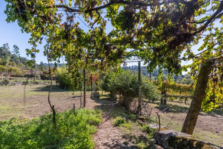 Quinta T4 para Venda em Torre e Portela Foto 22