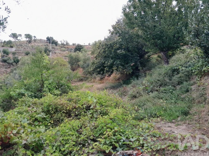 Moradia T5 para Venda em Cortes do Meio Foto 20