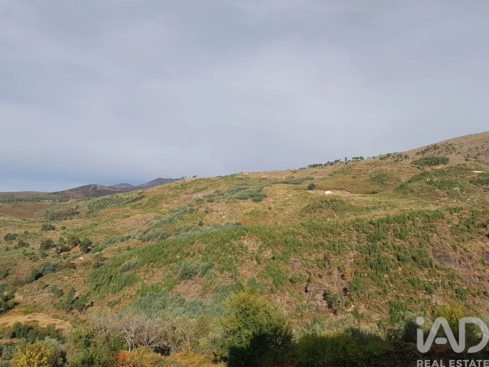 Moradia T5 para Venda em Cortes do Meio Foto 25