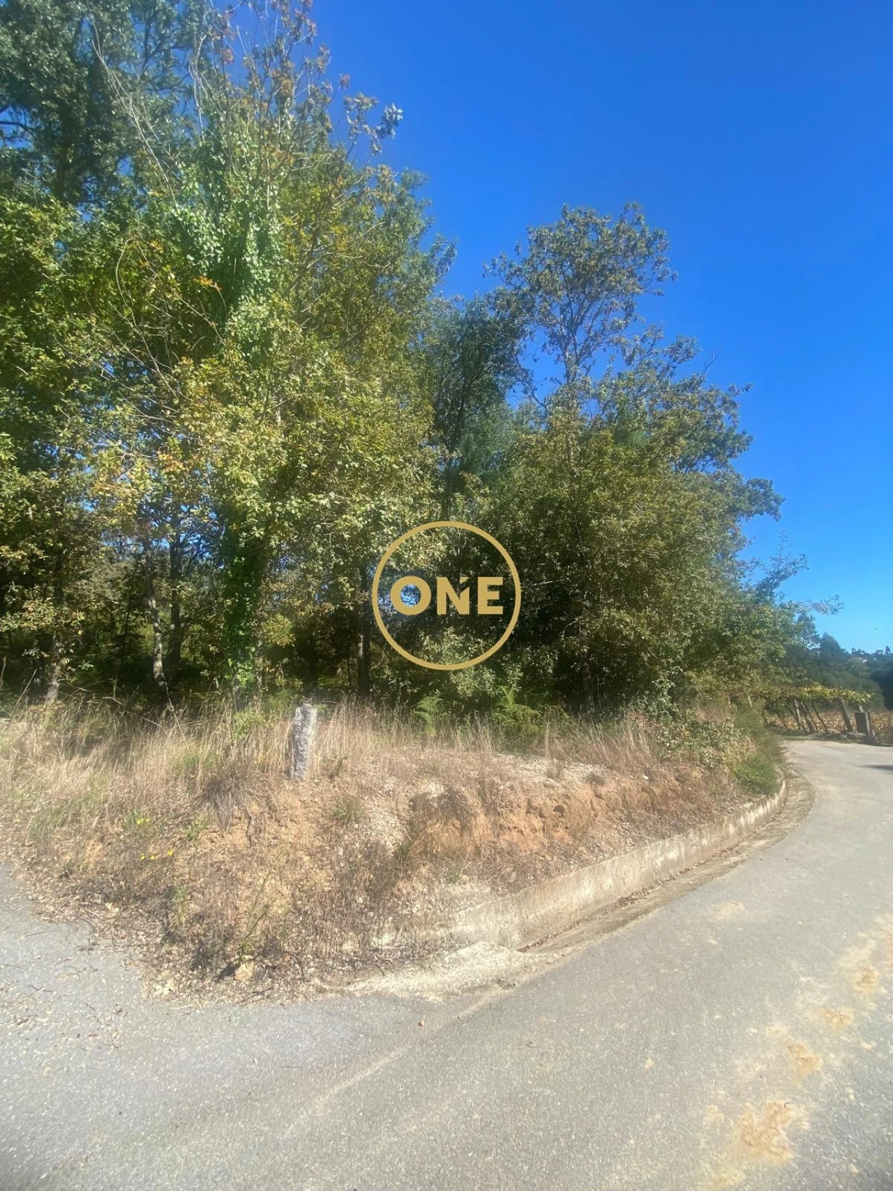 Terreno para Venda em Associação de Freguesias do Vale do Neiva Foto 12