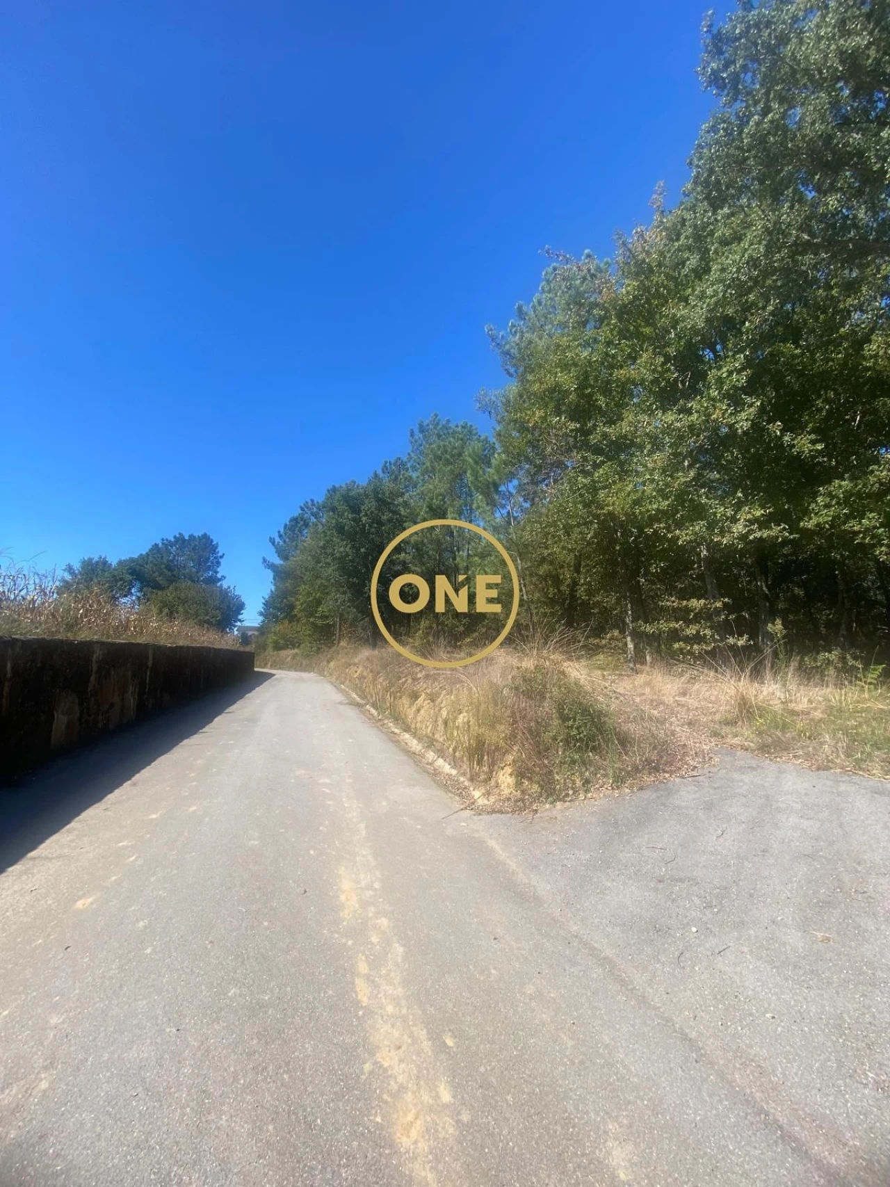 Terreno para Venda em Associação de Freguesias do Vale do Neiva Foto 14