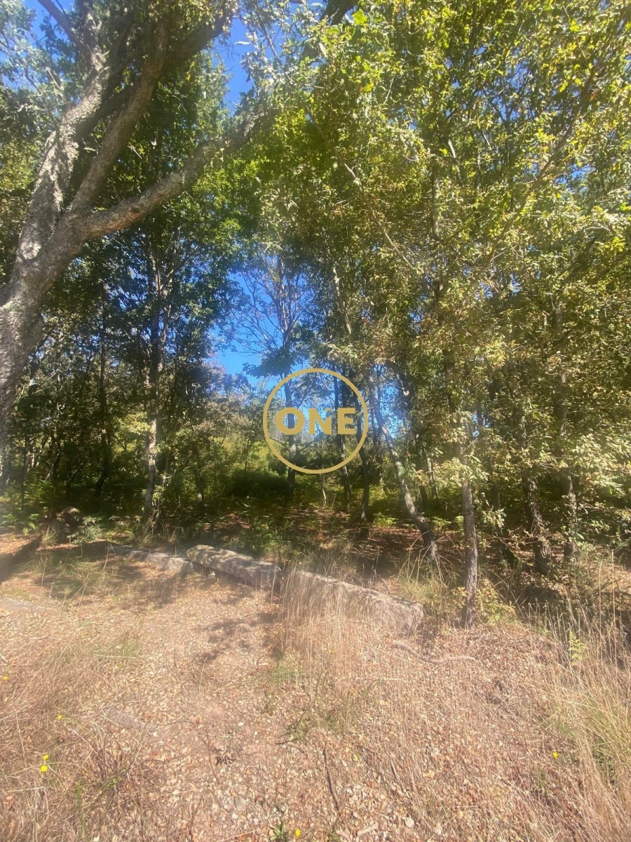 Terreno para Venda em Associação de Freguesias do Vale do Neiva Foto 10