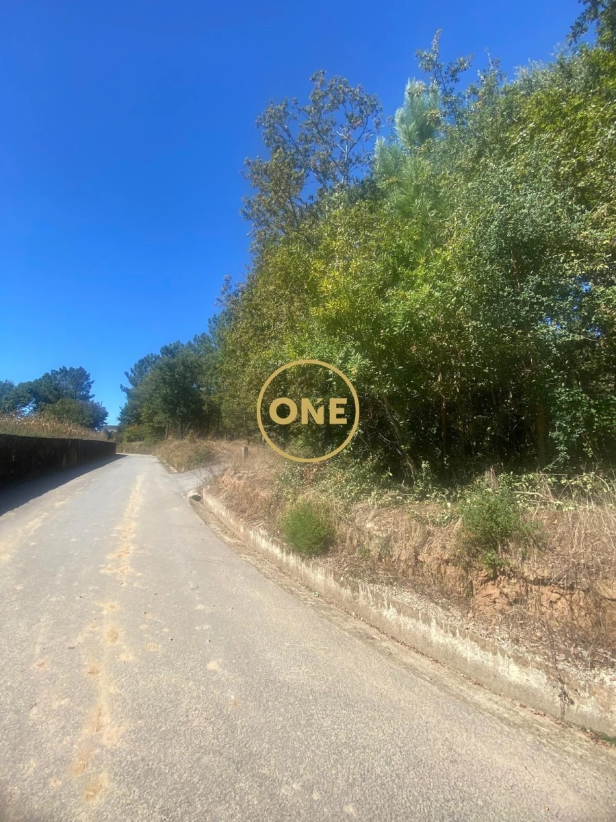 Terreno para Venda em Associação de Freguesias do Vale do Neiva Foto 8