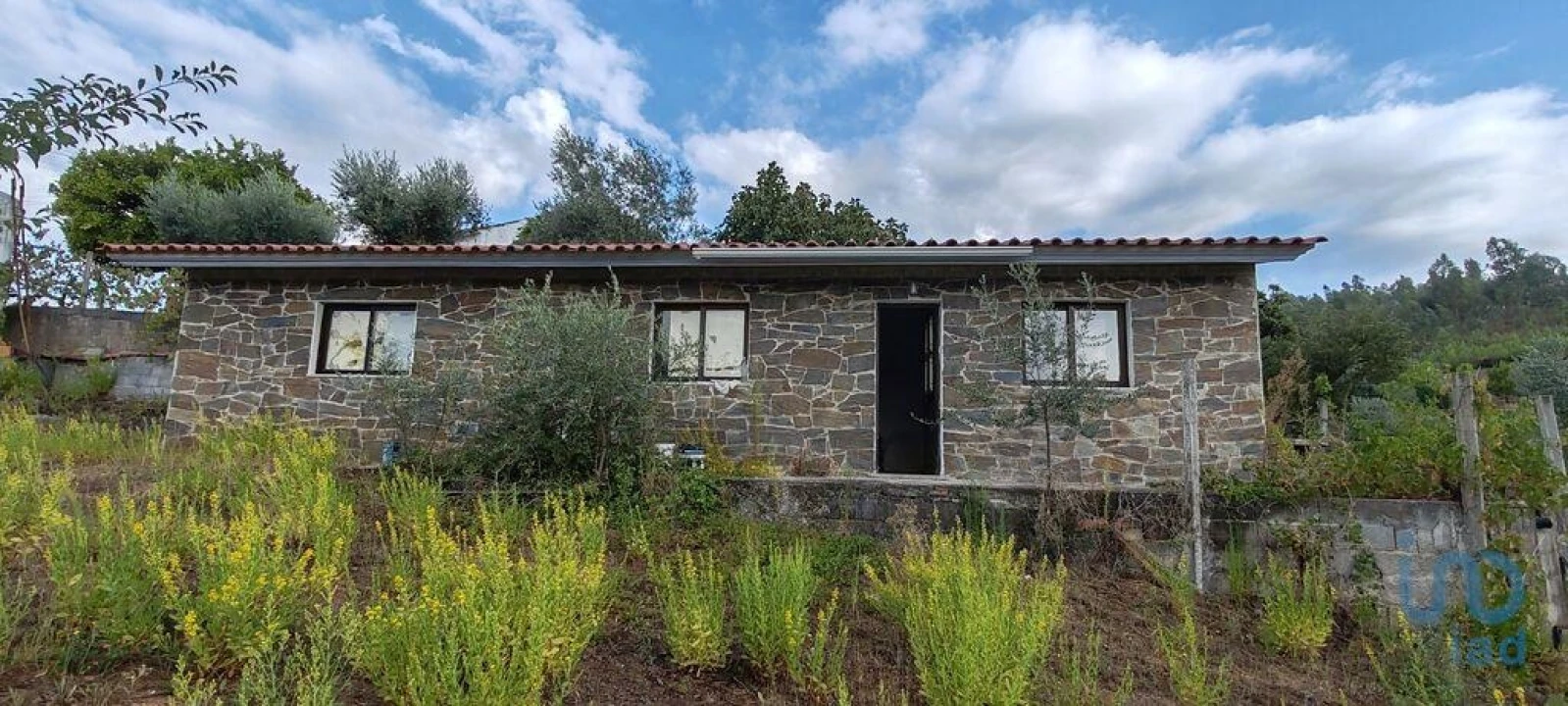 Terreno para Venda em Sertã Foto 5