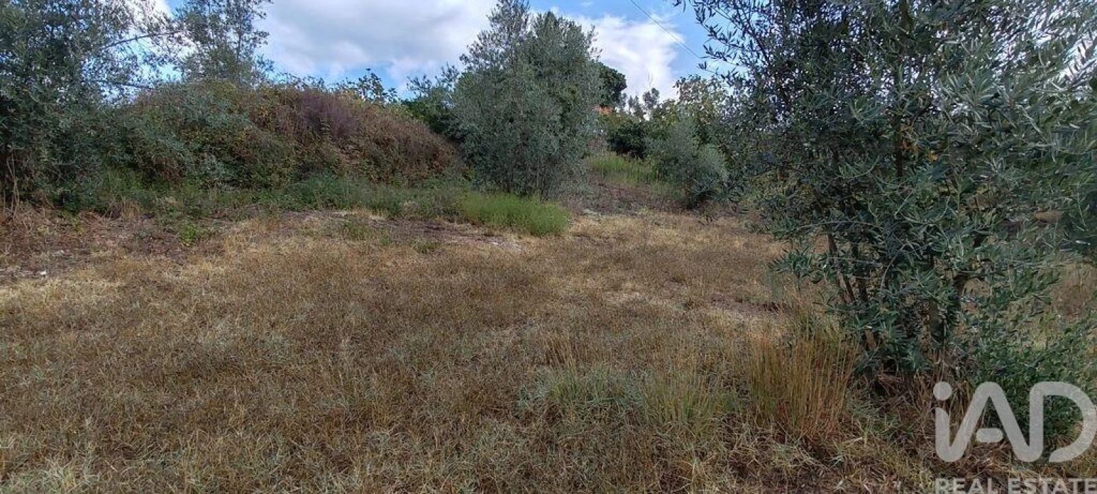 Terreno para Venda em Sertã Foto 28