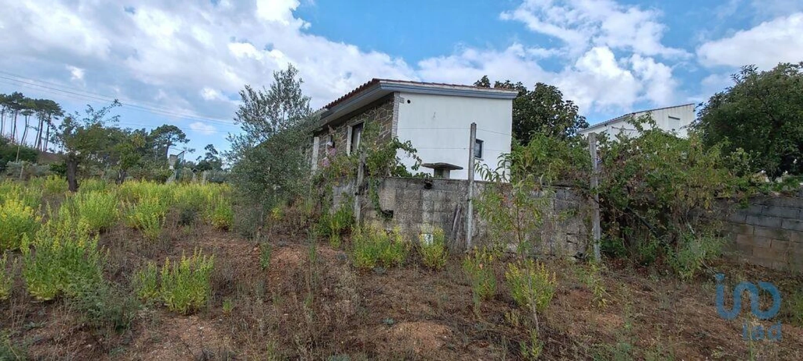 Terreno para Venda em Sertã Foto 7