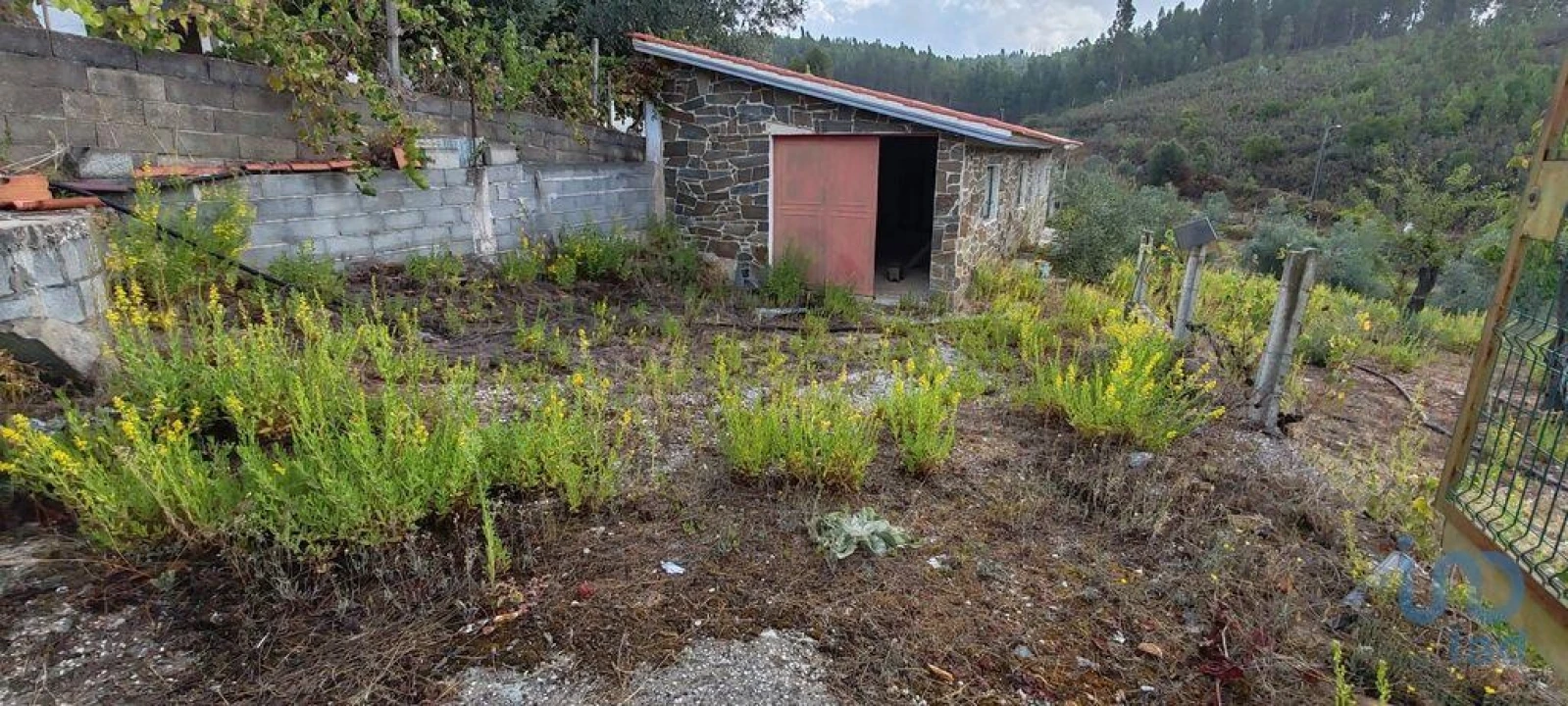 Terreno para Venda em Sertã Foto 8